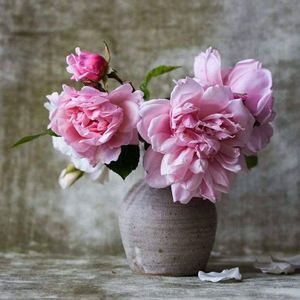 Meet your Posher, Shante